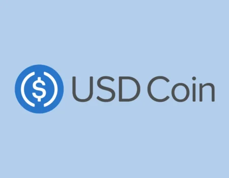 Яка мережа потрібна для USDC? Що таке ЮСДЦ
