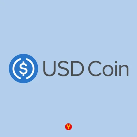 Яка мережа потрібна для USDC? Що таке ЮСДЦ
